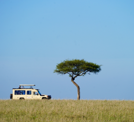 Travelling around the world